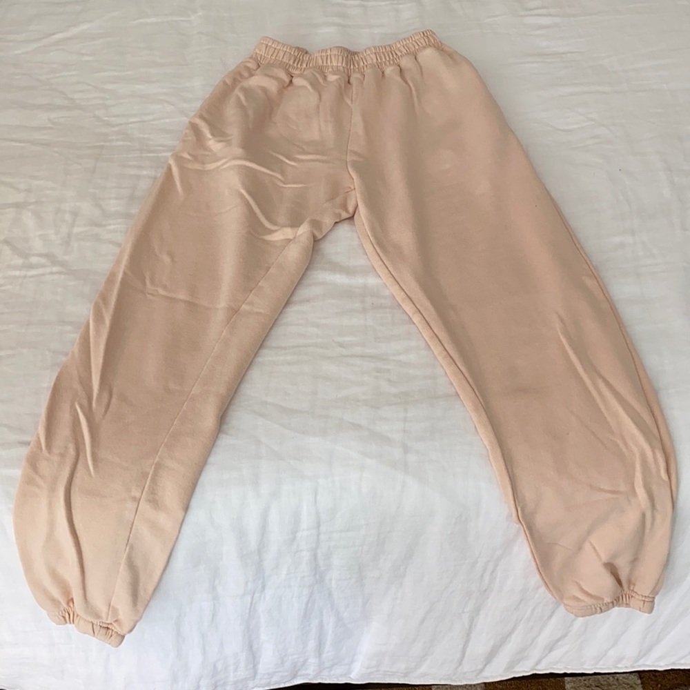 Misguided joggers